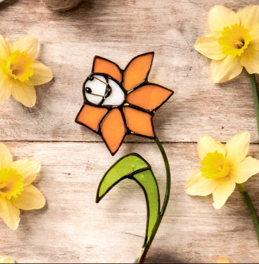 Golden Daffodil Flower Stem