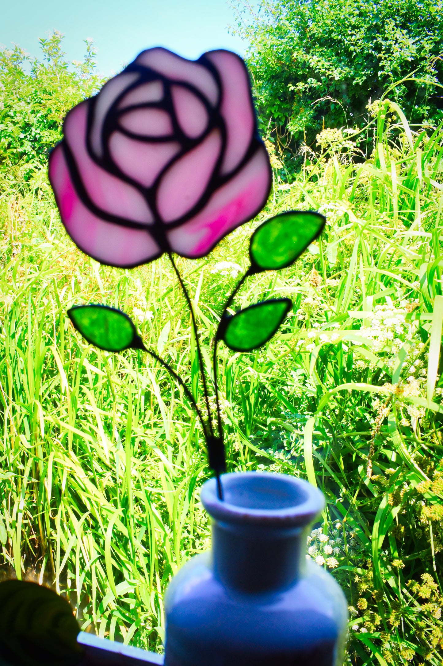 Pink Rose Flower Stem