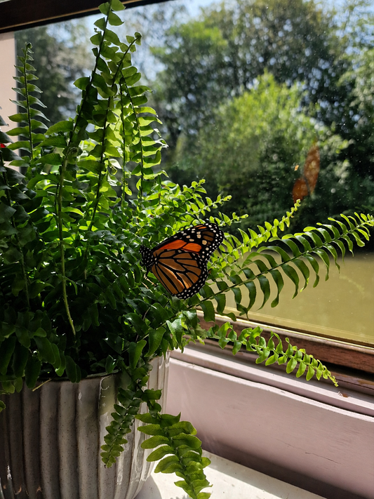 Monarch Butterfly Plant Stake- Stained Glass