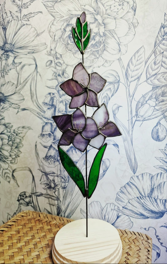 Gladiolus Flower Stem