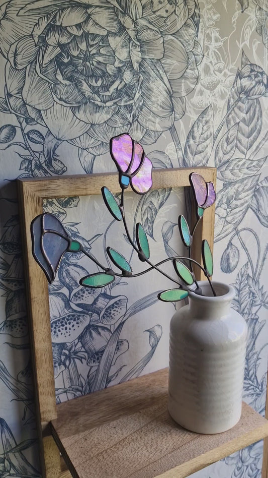 Sweetpea flower stem