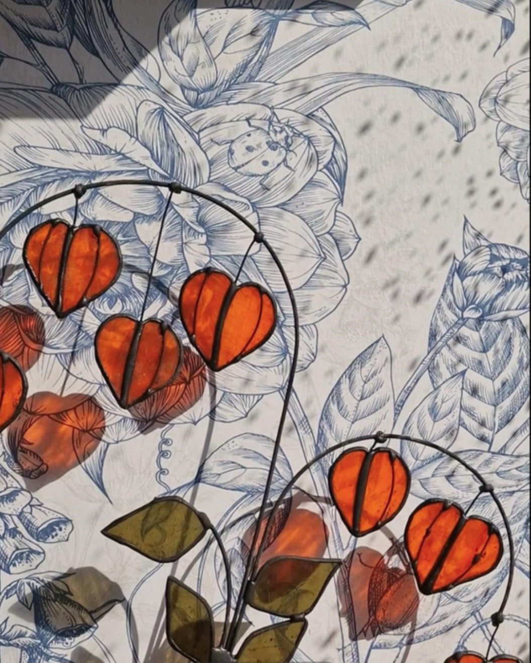 Chinese Lantern Plant Stem