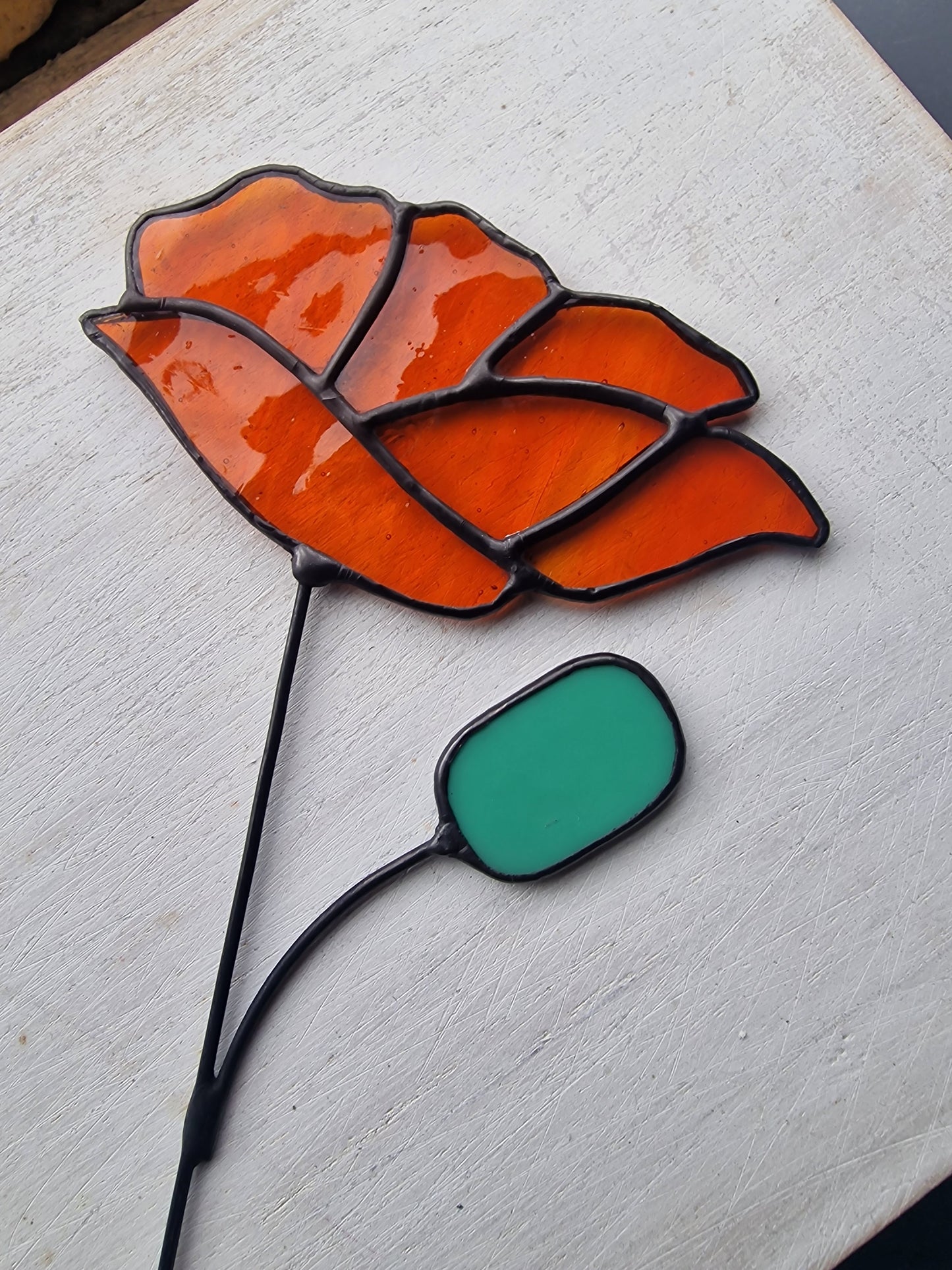 California Stained Glass Poppy