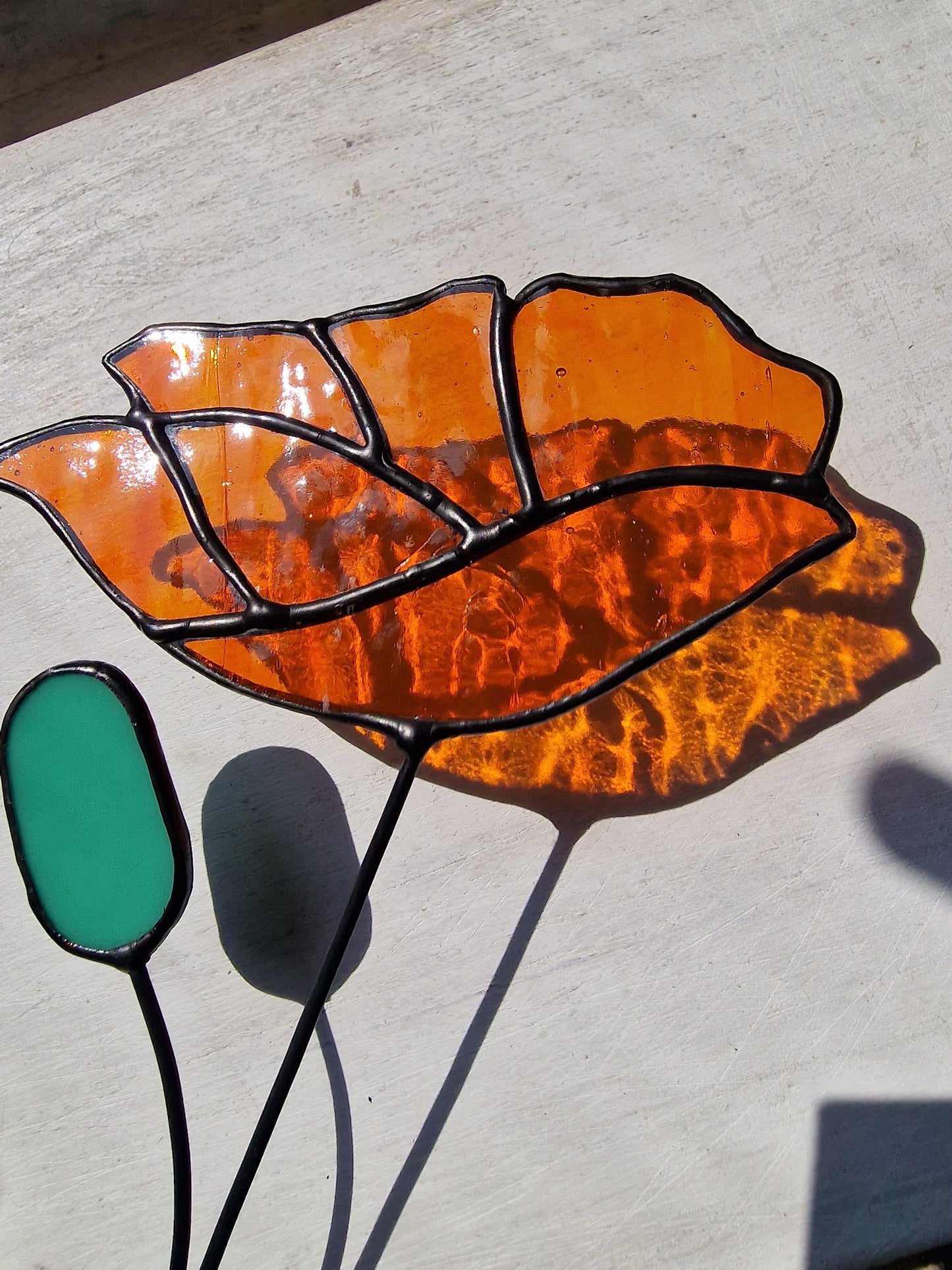 California Stained Glass Poppy