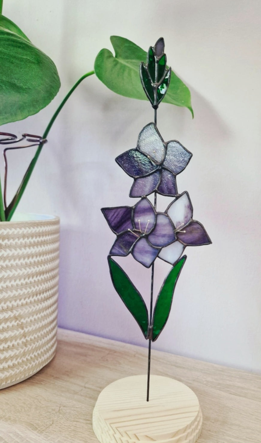 Gladiolus Flower Stem