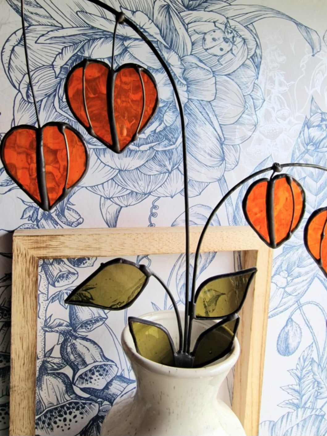 Chinese Lantern Plant Stem