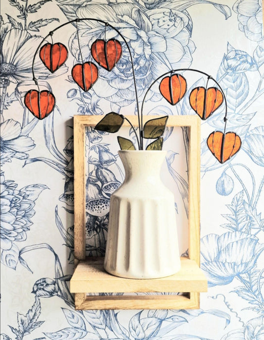 Chinese Lantern Plant Stem