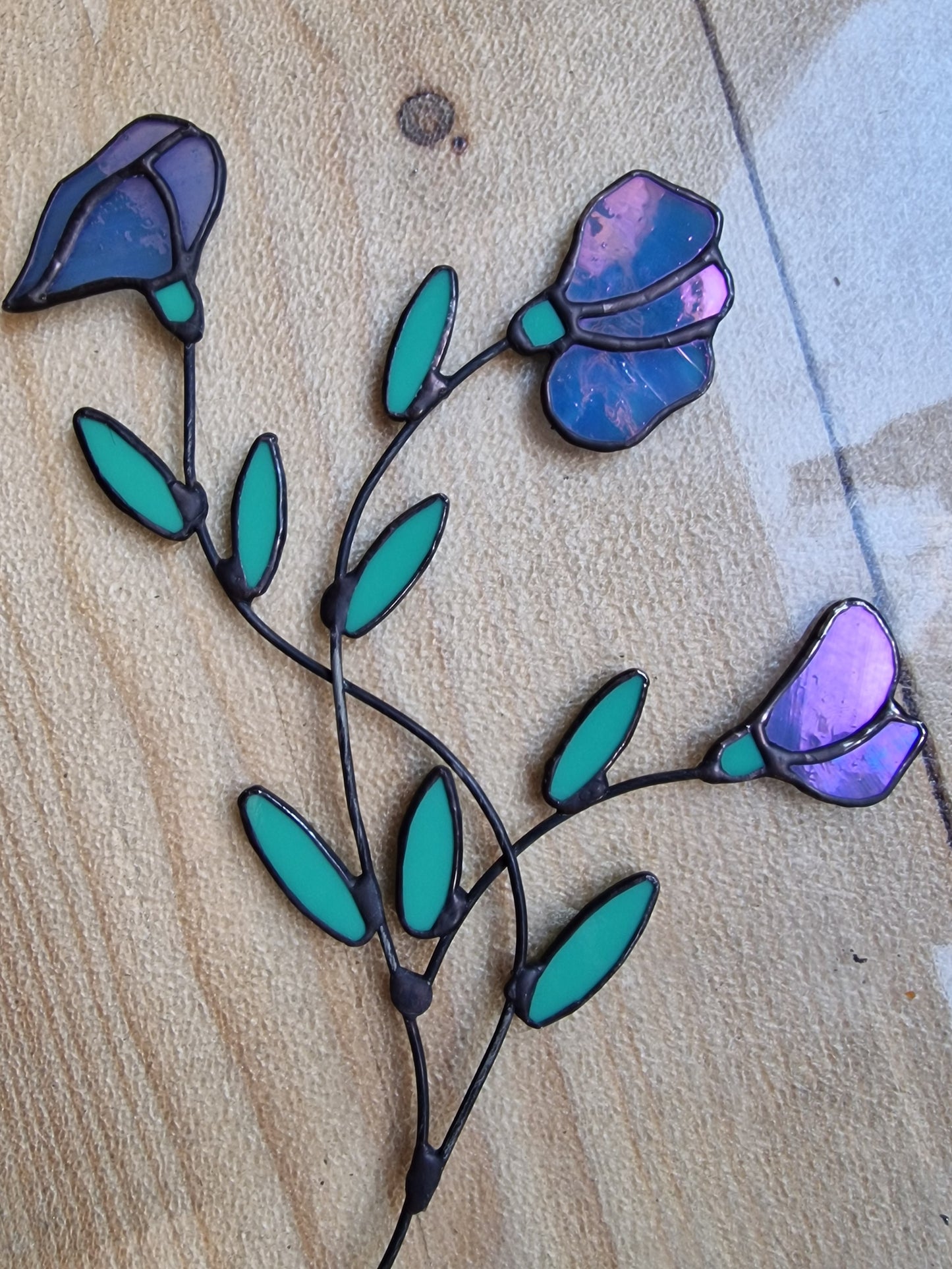 Sweetpea flower stem